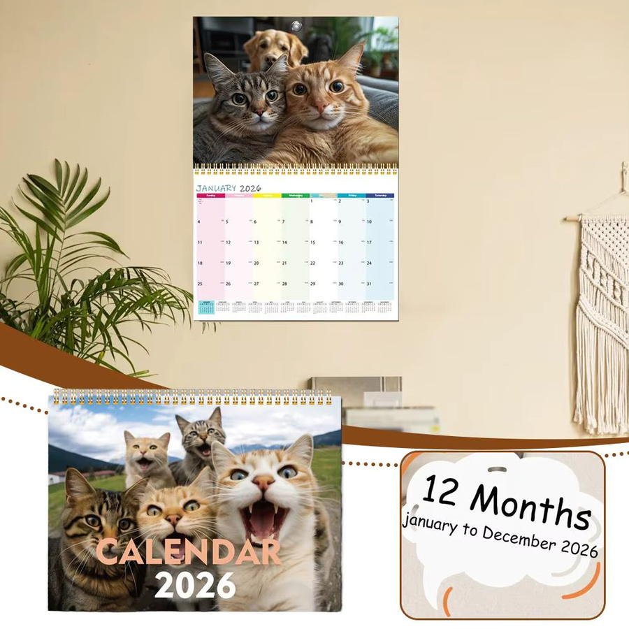 2026 Wandkalender für Katzenliebhaber mit lustigen Kätzchen Motiven, monatlicher Kalender aus Papier in Mehrfarbig - Bild 3