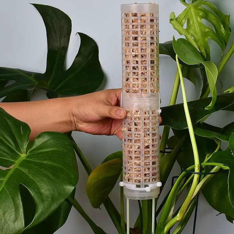 Stapelbarer Moos-Totempfahl aus Kunststoff als Kletterhilfe für Orchideen, Monstera und Zimmerpflanzen, Grün - Bild 4