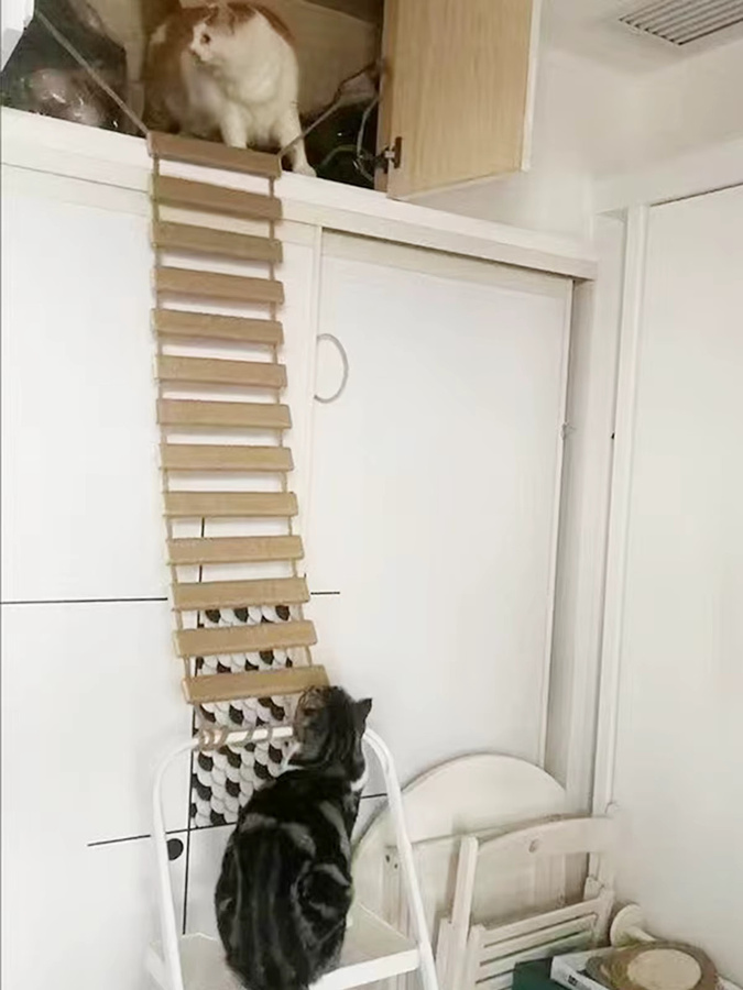 Holzklettergerüst für Katzen mit Sisalseil und Brücke als Kratzbaum-Erweiterung - Bild 3