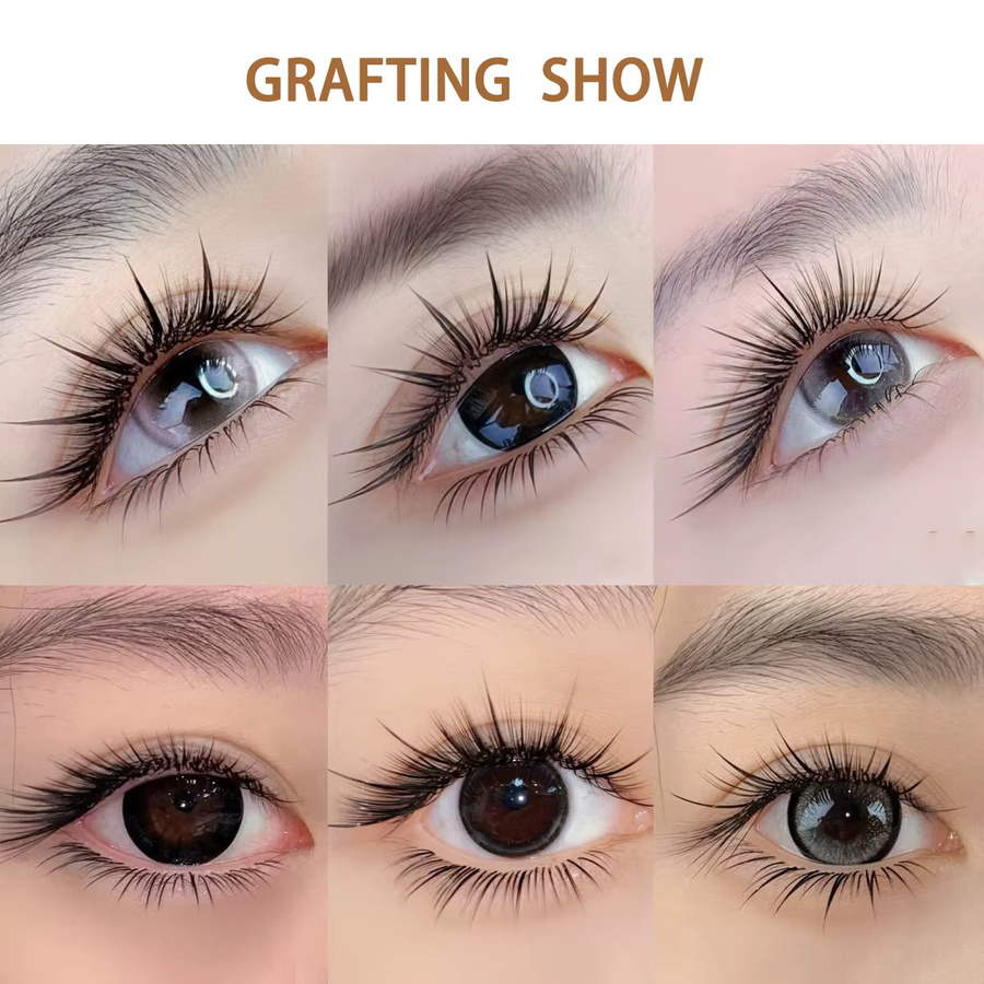 Domi Lash Einzelwimpern, Künstliche Wimpernverlängerungen, Natürlich - Bild 4