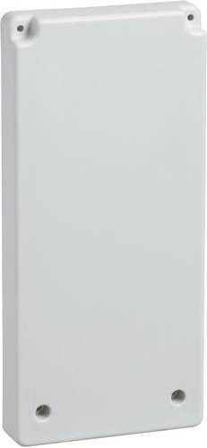 Schneider Electric Gehäuseplatte 13143 für Auslass aus Kunststoff in Lichtgrau - Bild 1