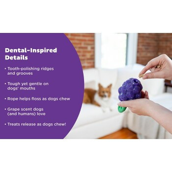 Planet Dog Dental Hundespielzeug - Bild 3