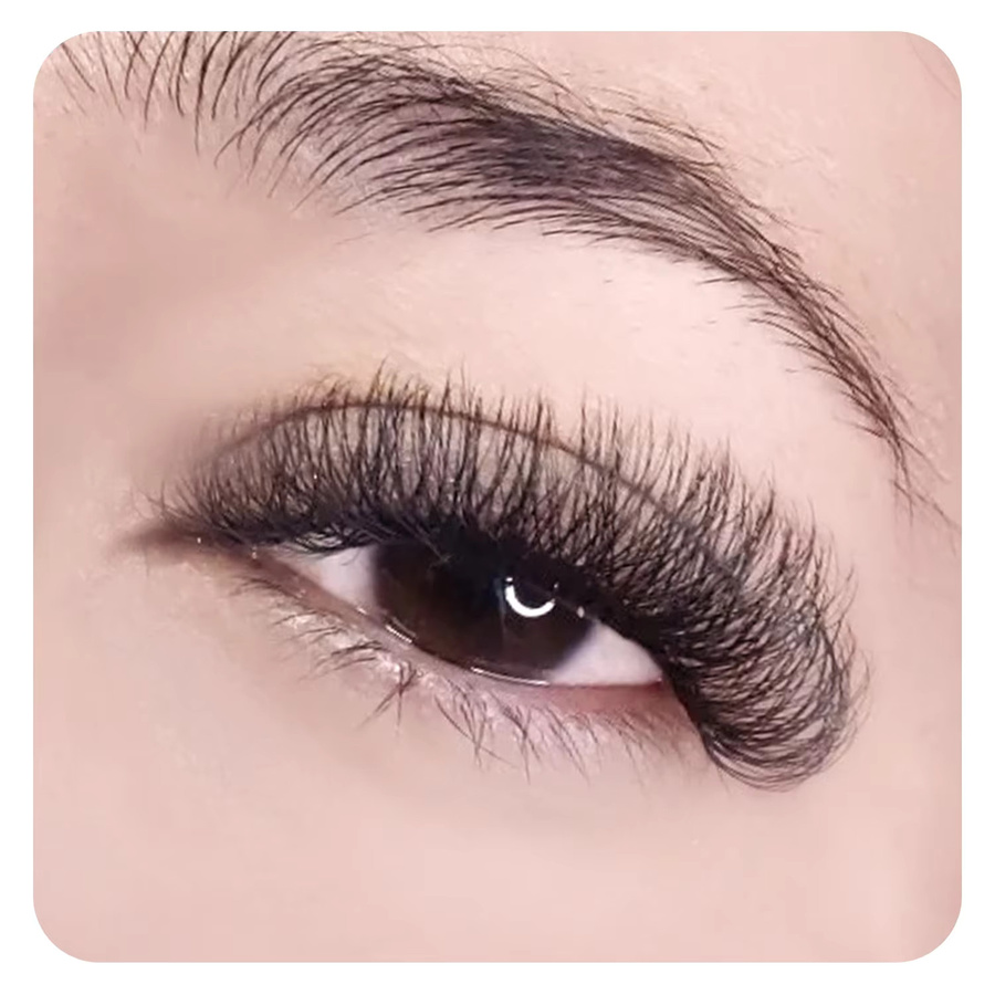 ANNAFRIS W-Wimpernverlängerung, vorgefertigte Volumenfächer, natürlich - Bild 3