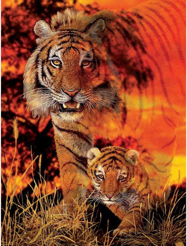 FIYO Diamond Painting Tiger King's Babystep 5D DIY Diamantmosaik mit Tiermotiv, mehrfarbig, Breite: 30 cm, Höhe: 20 cm - Bild 1