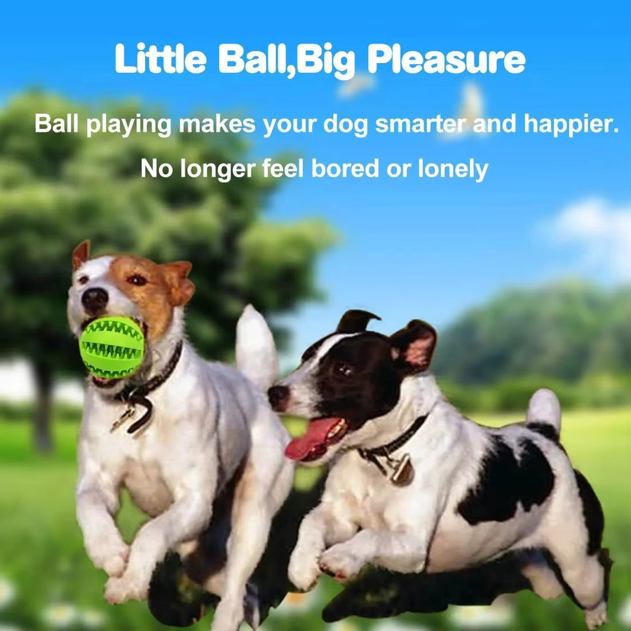 Hundespielzeug, interaktiver elastischer Weichball, zur Zahnreinigung - Bild 2