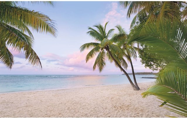 Komar Fototapete Vlies Paradise Morning Multicolor B: 400 cm, H: 250 cm - Bild 1