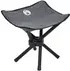 Coleman Campinghocker in Grau und Schwarz aus Kunststoff und Metall - Bild 1
