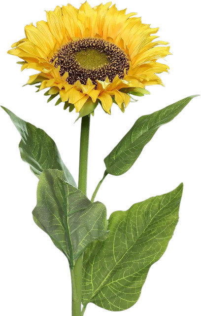 Künstliche Sonnenblume Real Touch von Aplanta, Höhe: 78 cm - Bild 1