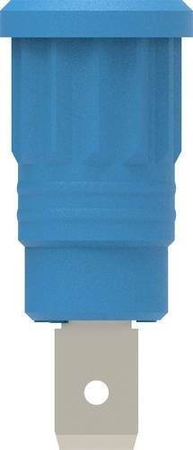Electro PJP 3286-CD1-BL Sicherheits-Einpressbuchse in Blau - Bild 1