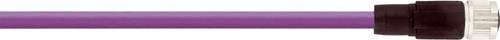 LAPP Steckverbinder 22260789 in Purple - Bild 1