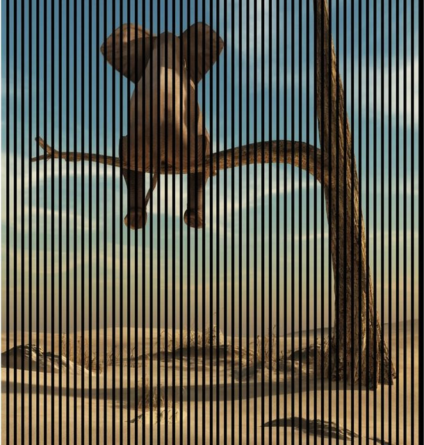 FN Acustico Akustikplatte Elefant in Bunt aus PET und MDF, H x B x T: 2.400 x 2.253 x 19 mm - Bild 1
