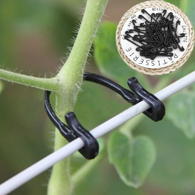 50 Stück yoyomall Pflanzen-Clips aus Kunststoff zum Befestigen von Tomaten, Ranken und Gemüse im Garten in Schwarz oder Transparent - Bild 1