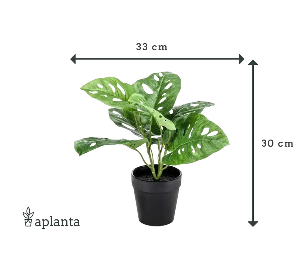 Künstliche Monstera Pflanze Jonah von Aplanta in Grün, Höhe: 30 cm - Bild 2
