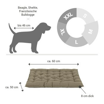 Doctor Bark Hundebett mit orthopädischem Schaumstoff und abnehmbarem Bezug in Sandbraun - Bild 1