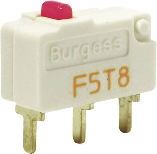 Burgess Mikroschalter F5T8UL in Weiß, 250 V/AC, 5A, IP40, tastend - Bild 1