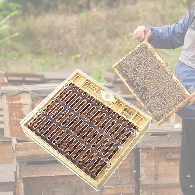 Homyl Imkerei Aufzucht Box Set zur sicheren Königinnen-Zucht für Imker - Bild 1