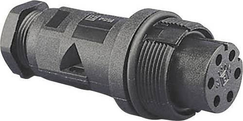 Bulgin PX0801 Rundstecker Einbau Serie Rundsteckverbinder Schwarz - Bild 1