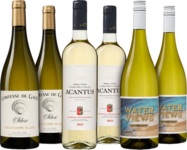 dieweinboerse.de Sauvignon Blanc Weißwein, 0,75 l - Bild 1