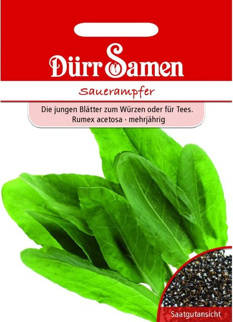 Dürr Sauerampfer Saatgut für Salate, Suppen und Tees - Bild 1