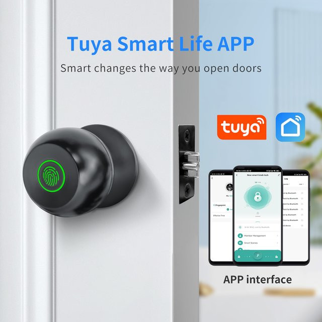 Tuya Smart Türschloss mit Bluetooth und Fingerabdruckerkennung zur Steuerung via Smart Life App in Schwarz oder Silber - Bild 1