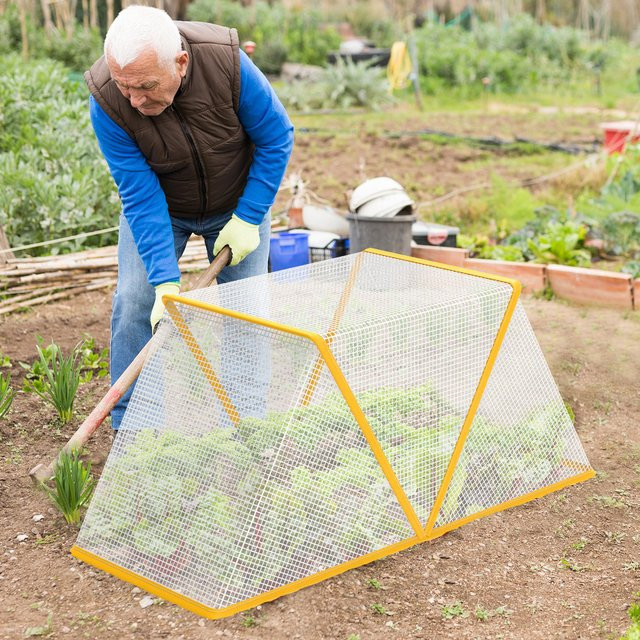 Faltbare Pflanzenschutzabdeckung aus transparentem Kunststoff für Gewächshäuser und Sämlinge, 2er-Set, Weiß, B/T/H: 80 x 35 x 34 cm - Bild 1