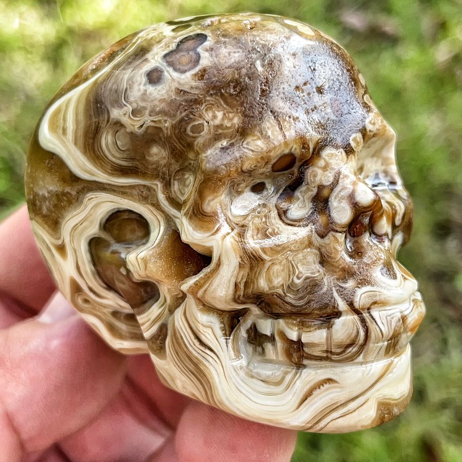 CRYSTALHOLA Natürlicher Schokoladenstein-Schädel mit Bernsteinband als 3D-geschnitzte Dekoration - Bild 2
