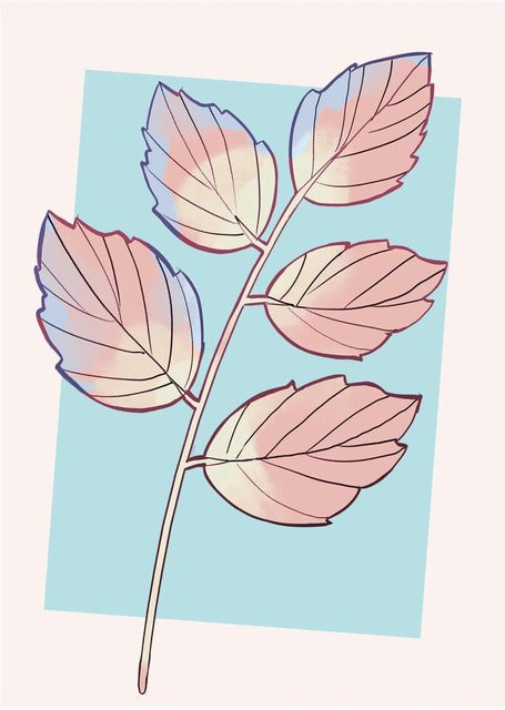 Komar Wandbild Cinderella Plant Paper Poster, Multicolour, Breite: 50 cm, Höhe: 70 cm - Bild 1