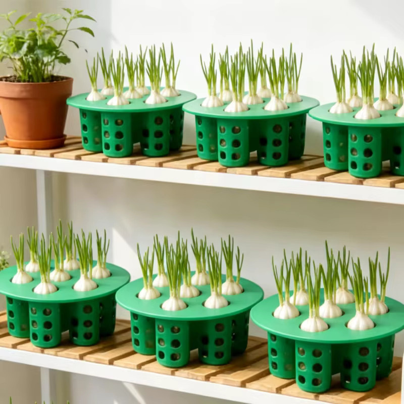 JYN Hydroponische Pflanzschale für Gemüse wie Knoblauch und Frühlingszwiebeln in Blau und Grün - Bild 2