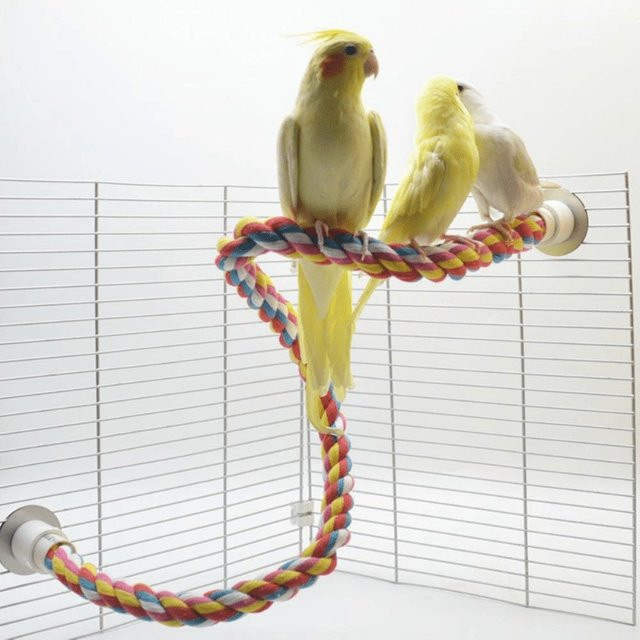 Vogel's Sitzstangen für Papagei, Multi-farbe, 1-teiliges Set - Bild 1