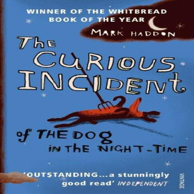 Supergute Tage: Der neugierige Hund und die Nacht von Mark Haddon, Taschenbuch - Bild 1