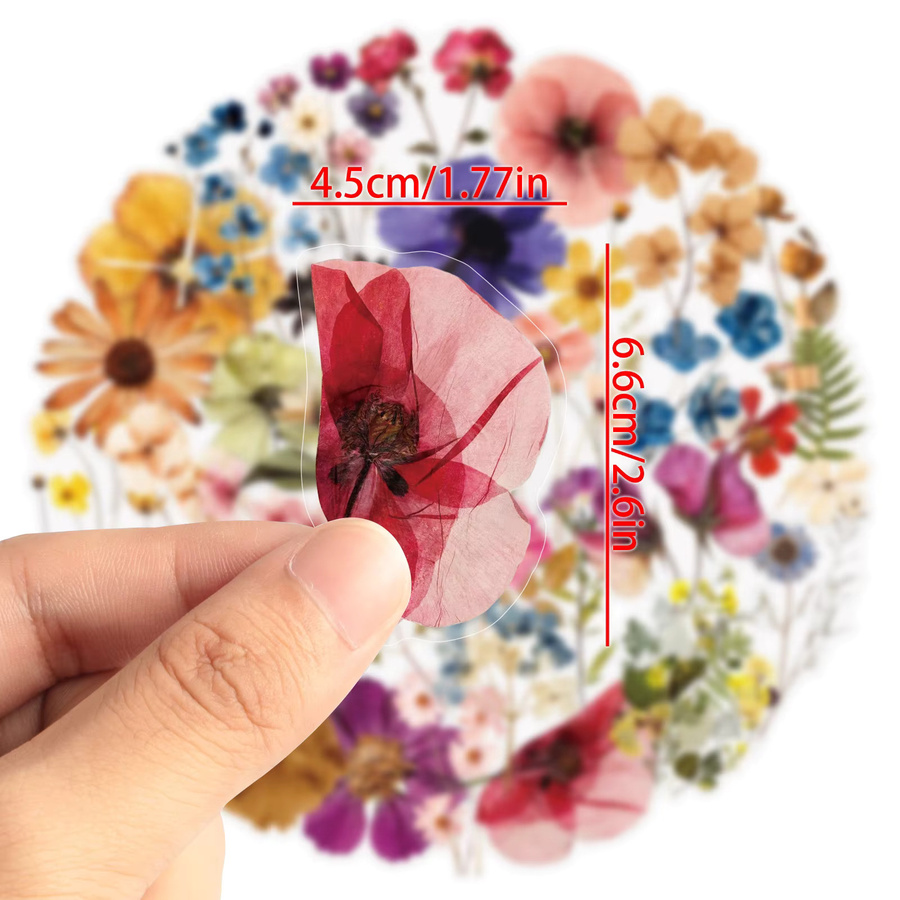 50 Stück transparente gepresste Blumen-Aufkleber in Multicolour für deine DIY-Dekoration an Laptop, Kühlschrank oder Skateboard - Bild 2