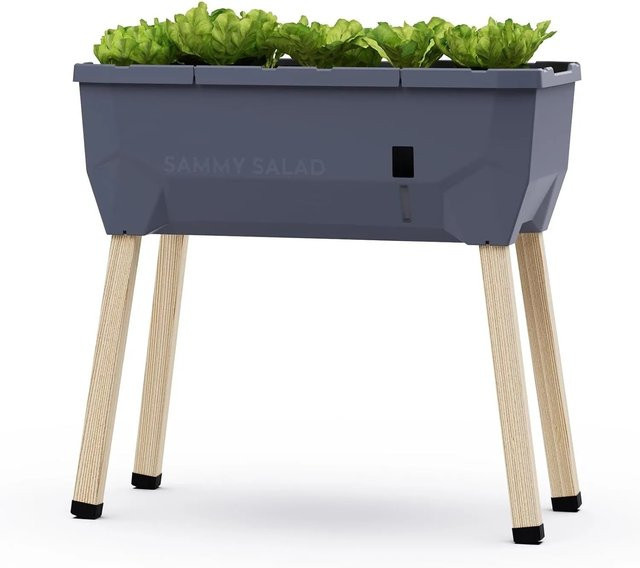 Gusta Garden Hochbeet Sammy Salad Anthrazit ohne Haube B/T/H: 750 x 750 x 375 cm - Bild 1