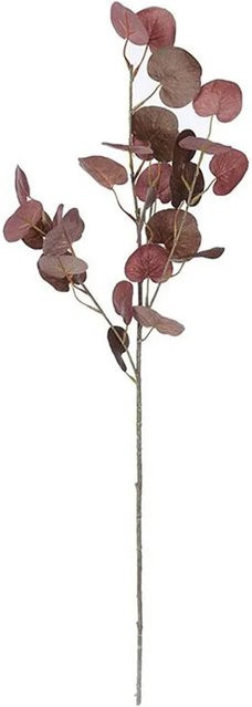 Flower Power Kunstblume Eukalyptuszweig in Braun, Höhe: 72 cm - Bild 1