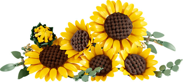LEGO Botanicals Sonnenblumen 11502 Mehrfarbig - Bild 3