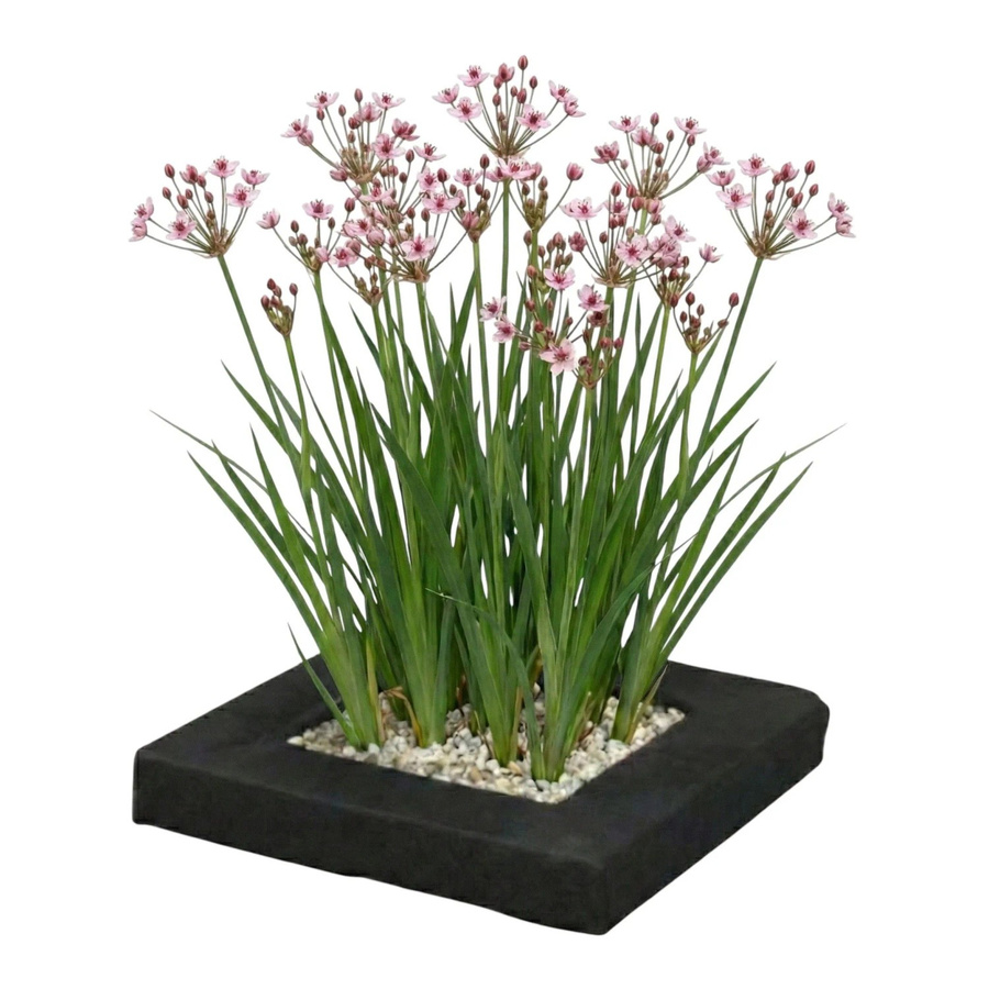 Vdvelde Schwimmende Pflanzeninsel mit 4 winterharten Schwanenblumen für deinen Teich in Multicolor - Bild 2