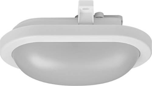 mlight 81-4083 LED-Deckenleuchte in Weiß, 12 W, oval, IP54, kaltweiß - Bild 1