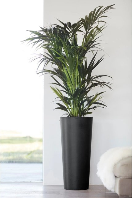 Ecopots Pflanztopf Amsterdam Dunkelgrau Höhe: 70 cm - Bild 1