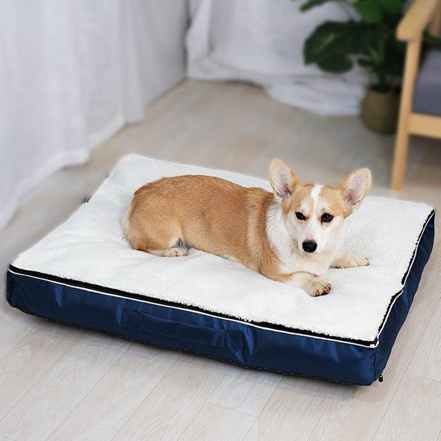 Zerlegbare Hundematte und Haustierunterlage aus PP-Baumwolle für Hunde und Katzen, B/T/H: 60 x 40 x 10 cm - Bild 1
