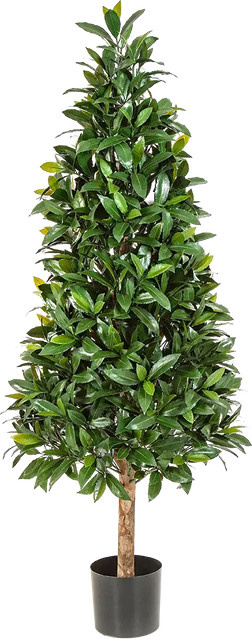 Künstlicher Lorbeer-Baum Tamina von Aplanta, Höhe: 140 cm - Bild 1