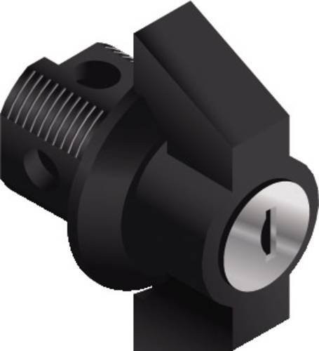 Schneider Electric NSYAEDLEDF13S3D Griff Verriegelung aus Aluminium in Schwarz - Bild 1
