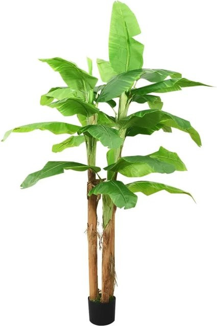 furnicato Künstlicher Bananenbaum in Grün mit Topf, Höhe: 300 cm - Bild 1