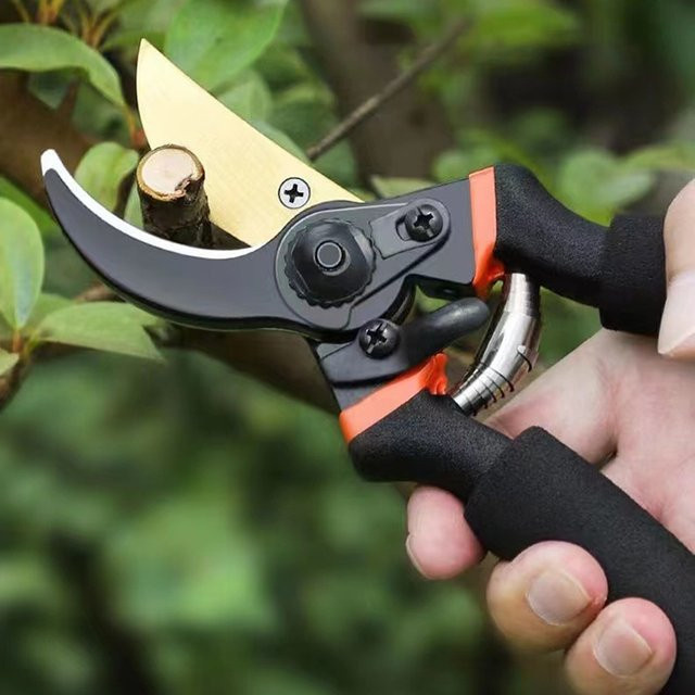 Aleekit Gartenschere als manueller Pflanzenschneider in Schwarz - Bild 1