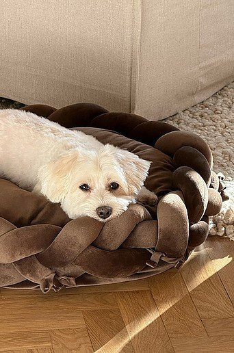Jotex Hundebett und Katzenbett rund aus Microfaser und Velvet in Braun mit abnehmbarem Bezug - Bild 1