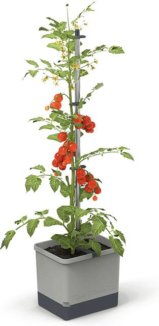 Gusta Garden Pflanztopf Tom Tomato Hellgrau - Bild 1