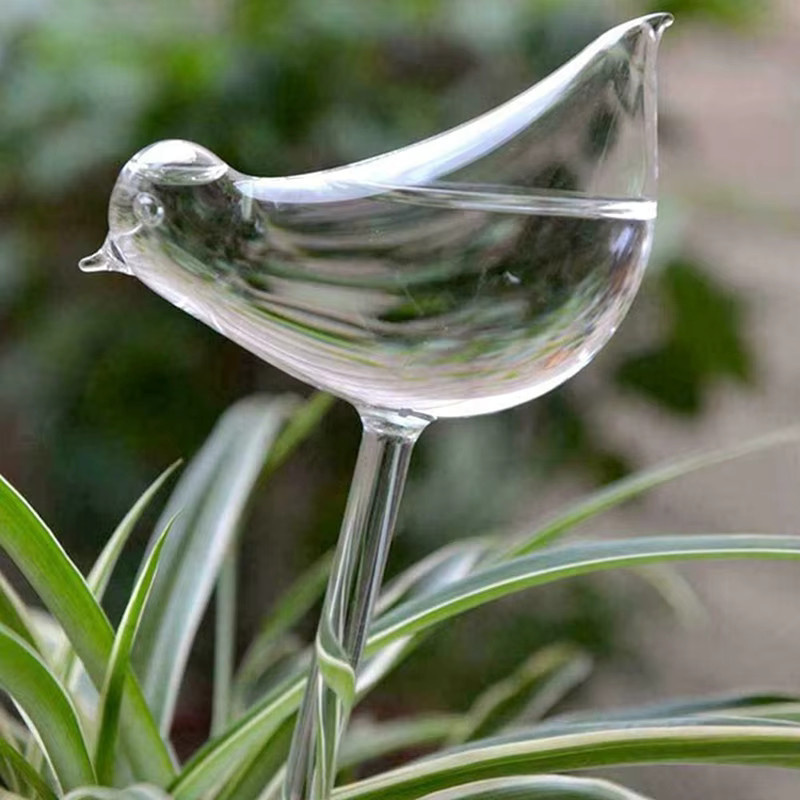Handgeblasene selbstbewässernde Glaskugeln in Vogelform für Zimmerpflanzen, Farbe: Transparent - Bild 3