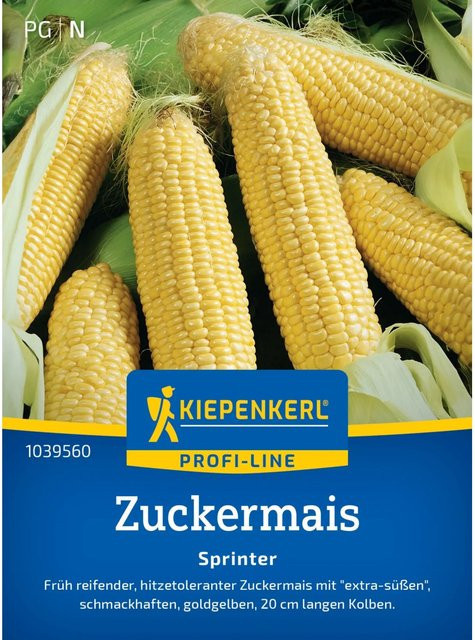 Kiepenkerl Profi-Line Zuckermais Sprinter F1-Hybride Gemüsesaatgut - Bild 1