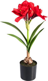Kunstblume Amaryllis von viva domo in Rot und Grün zur Weihnachtsdekoration - Bild 1