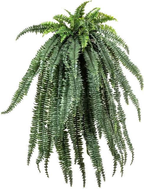 Künstlicher Hänge-Farn Christina von Aplanta, Grün, Höhe: 150 cm - Bild 1