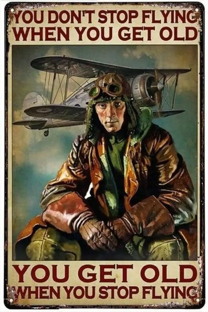 Retro-Blechschild CIFBUY mit Flugzeugmotiv und Zitat, Metall-Wanddekoration in Multicolour, B: 30,0 cm, H: 20,0 cm - Bild 1