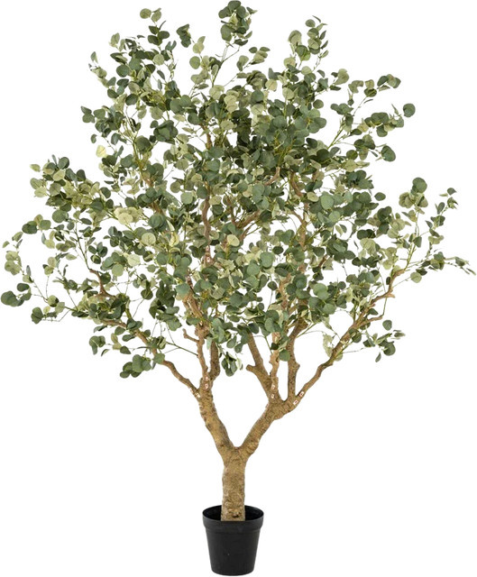 Künstlicher Eucalyptus Kalli von artplants in Grün, Höhe: 240 cm - Bild 1